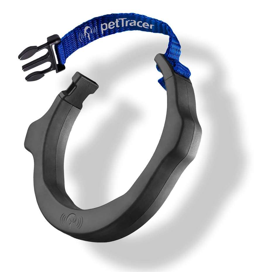 Einzelhalsband 2.0